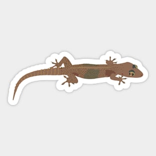 Common House Gecko Sticker